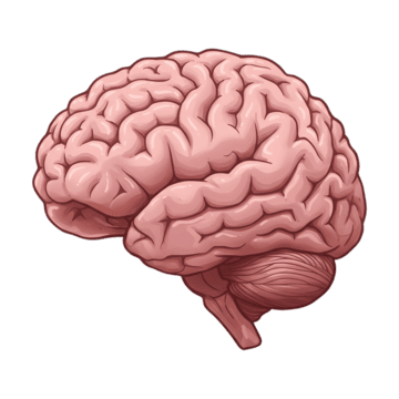 migraine