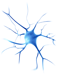 neuro